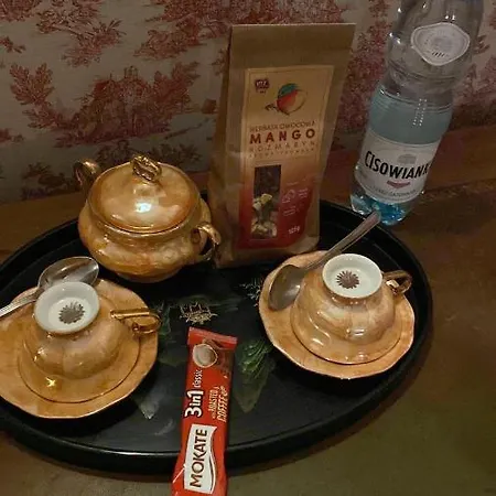 Bed & Breakfast Palac Osowo Gostynskie *