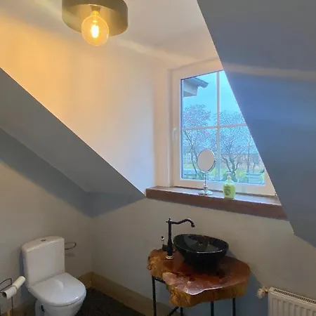 Palac Osowo Gostynskie 4* Гостынь