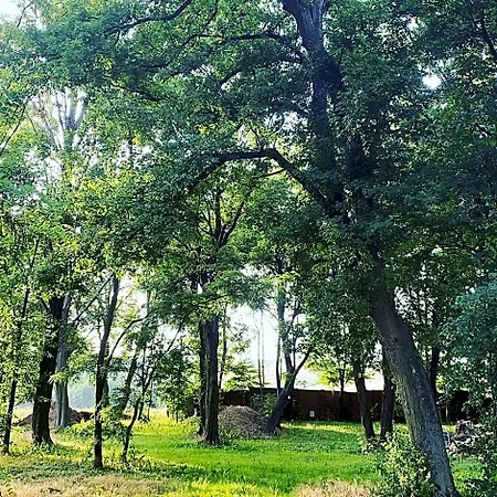 Palac Osowo Gostynskie Отель типа 