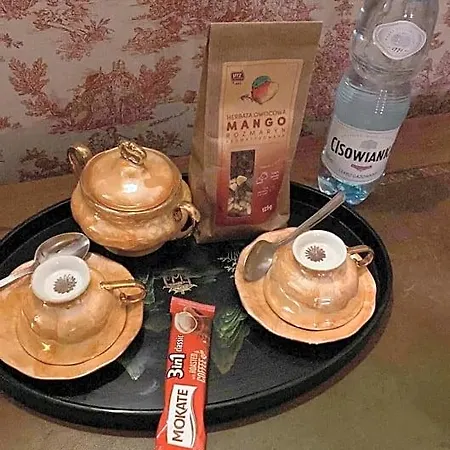 Palac Osowo Gostynskie Гостынь