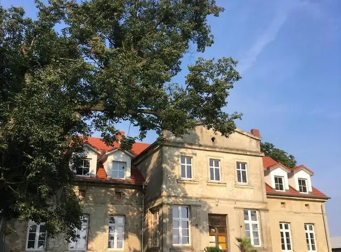 Palac Osowo Gostynskie Bed & Breakfast 4*