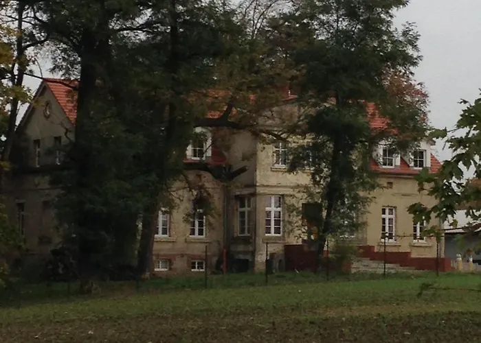 Bed & Breakfast Palac Osowo Gostynskie 4*