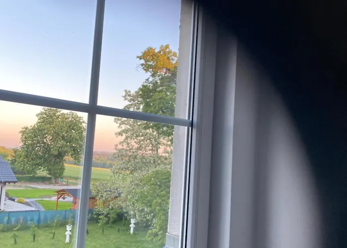 Bed & Breakfast Palac Osowo Gostynskie 4*