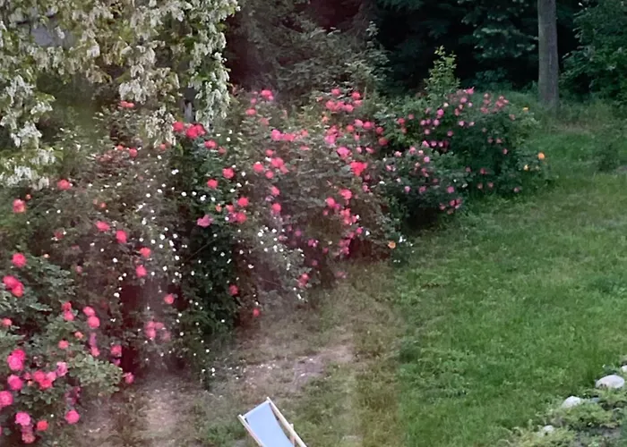 Palac Osowo Gostynskie Bed & Breakfast 4*