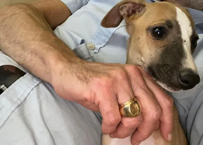 Bed & Breakfast Palac Osowo Gostynskie Gostyń